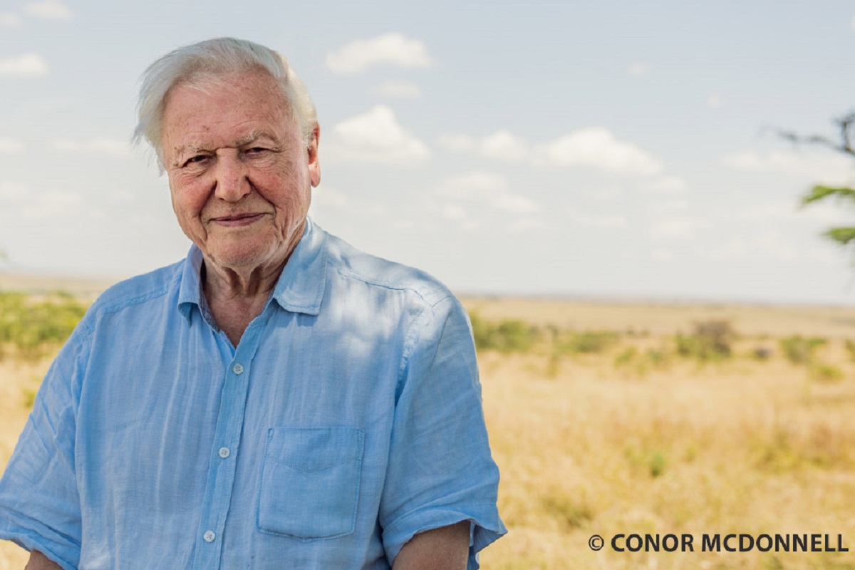 Sir David Attenborough calls on world leaders to act on climate change