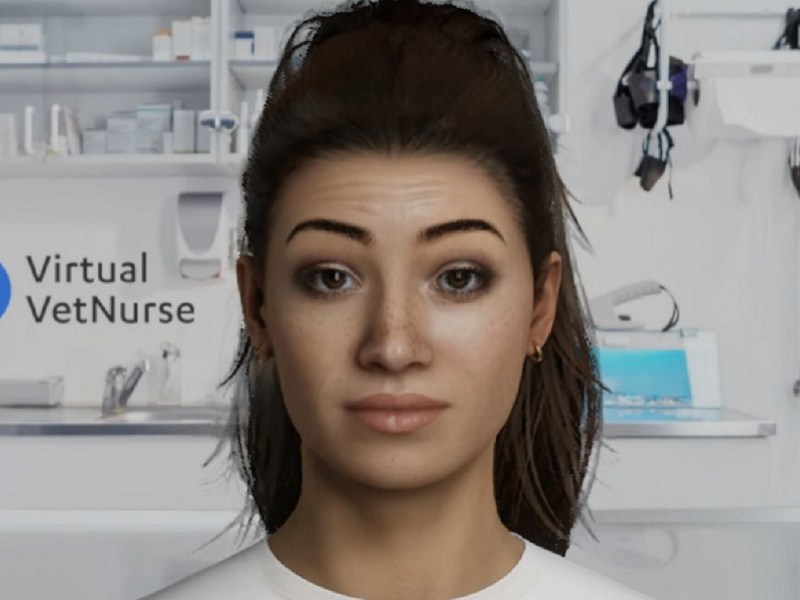 Virtual Vet Nurse