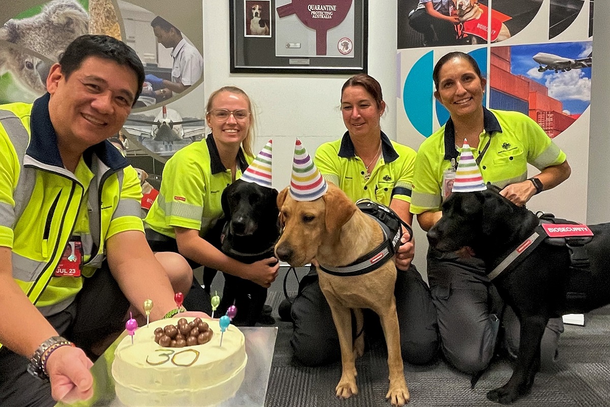 biosecurity detector dog