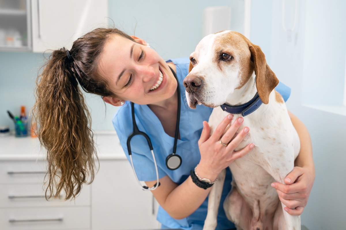 Celebrating veterinarians ahead of World Vet Day