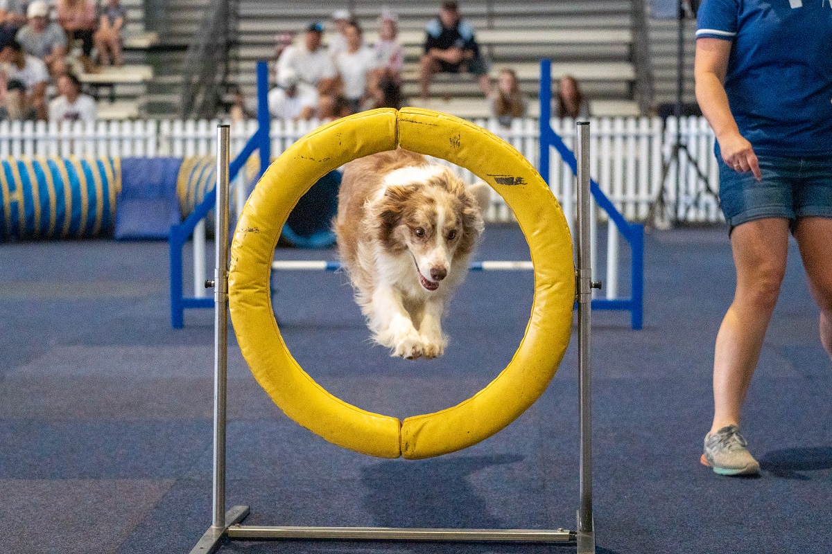 First national Pet Show set to hit Melbourne