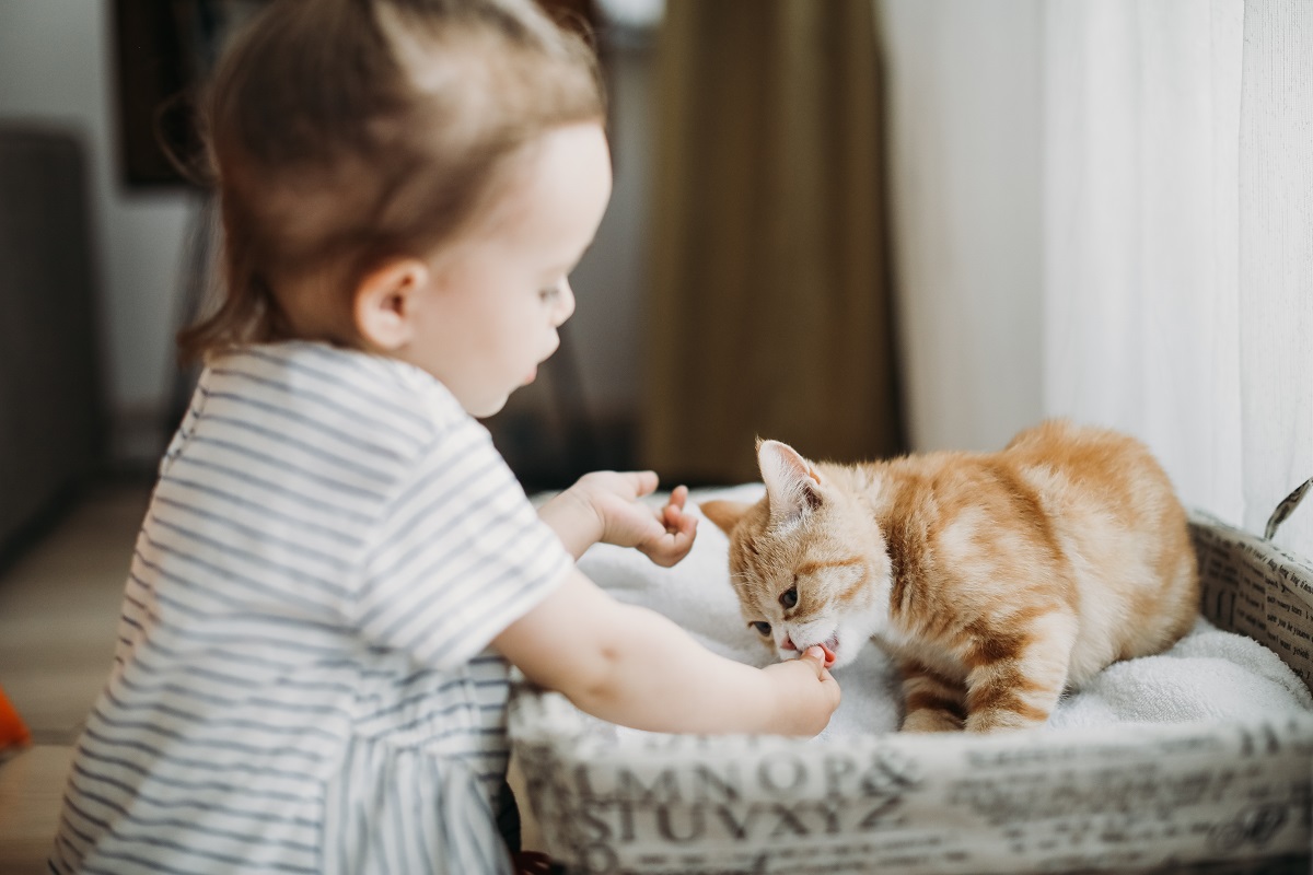 Children with pets less likely to have food allergies