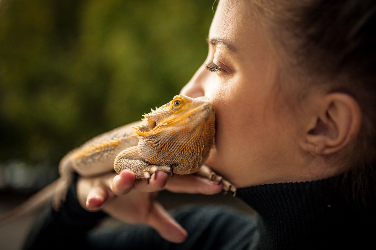 Birds, Bunnies, and Beardies