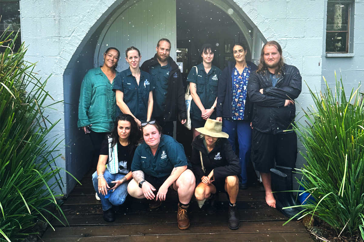 Community rallies as Byron Bay Wildlife Sanctuary floods