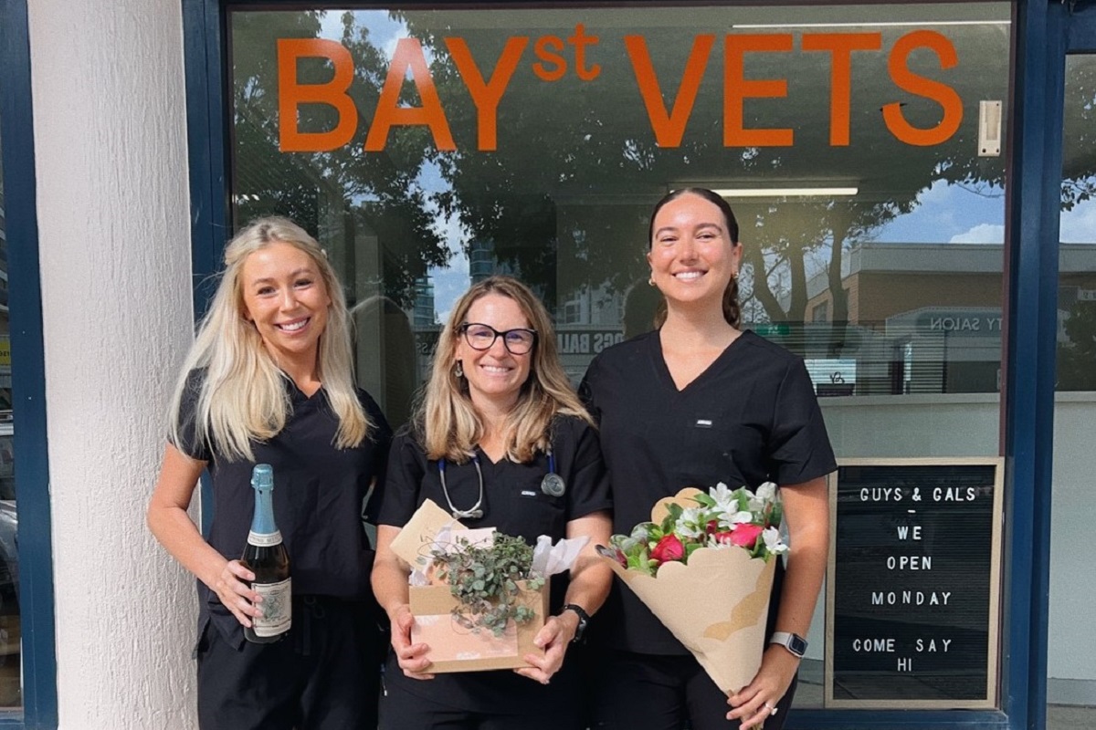 The women-led veterinary clinic modernising pet care