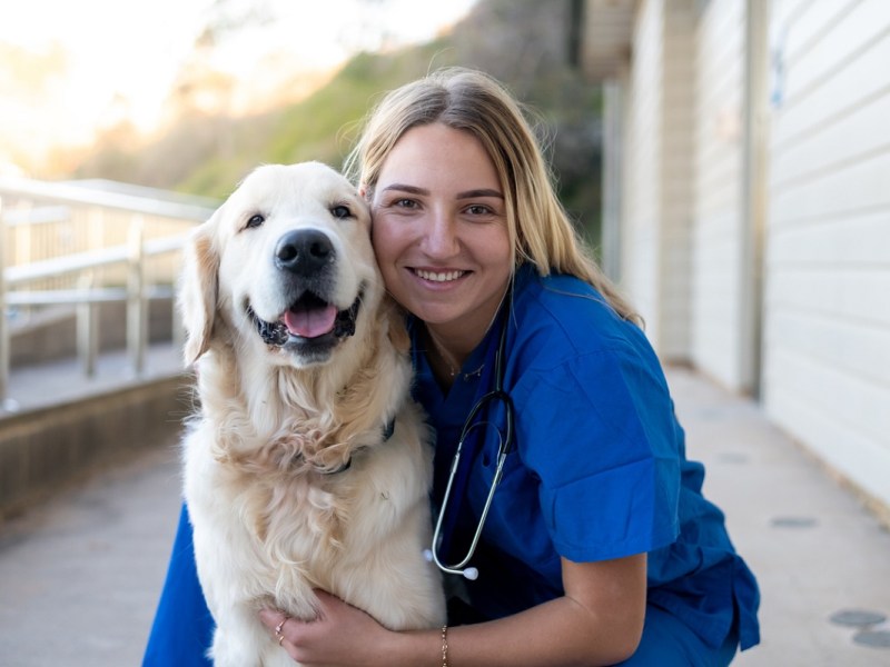 veterinary workforce shortage