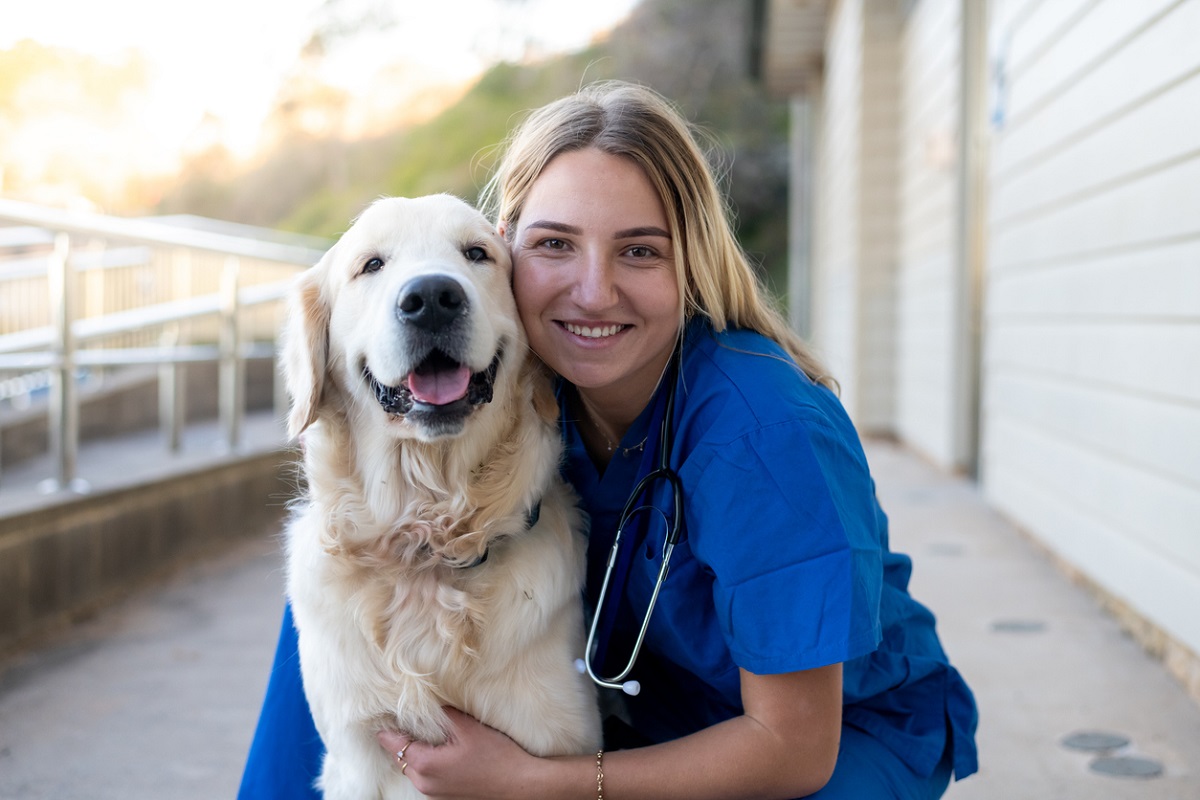 veterinary workforce shortage