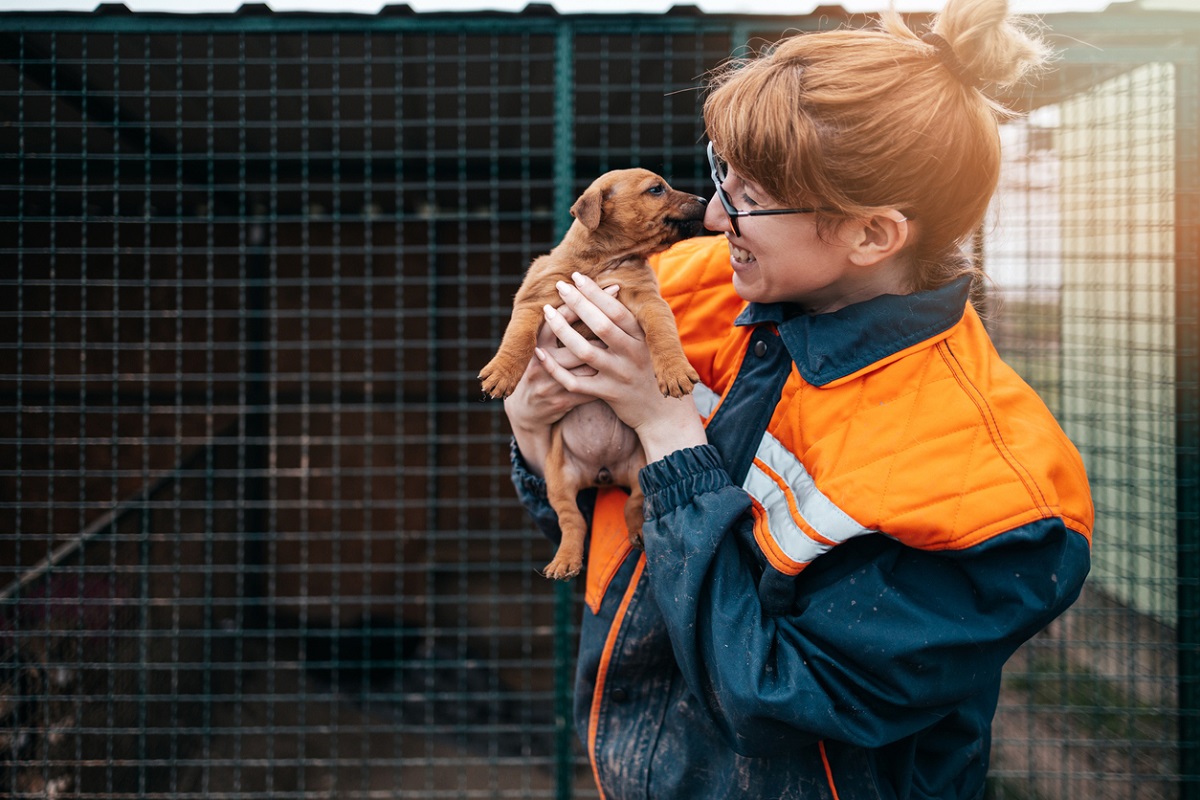 WA Government gives out over $1m in animal welfare grants