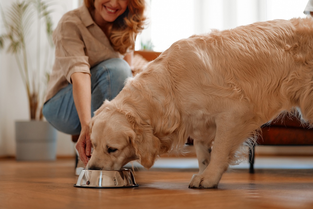 Australians turning to ethical, sustainable pet food